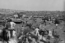 1974-larzac4-7A.jpg